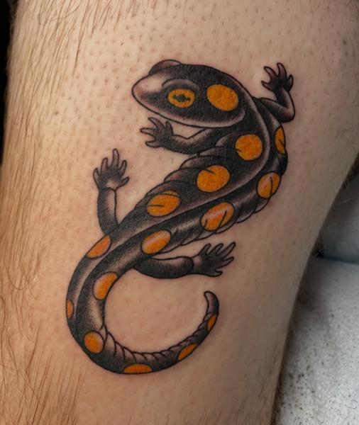 Traditional spotted salamander tattoo by @alexschwartztattoos
