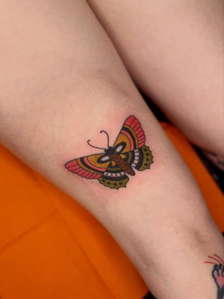 Traditional colorful butterfly tattoo by @aliceneedstattoos