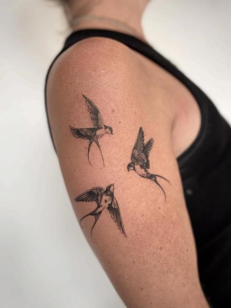 Fine line swallow birds tattoo by @inked_by_alice