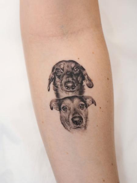 Realism dog portraits tattoo by @amybillingtattoo
