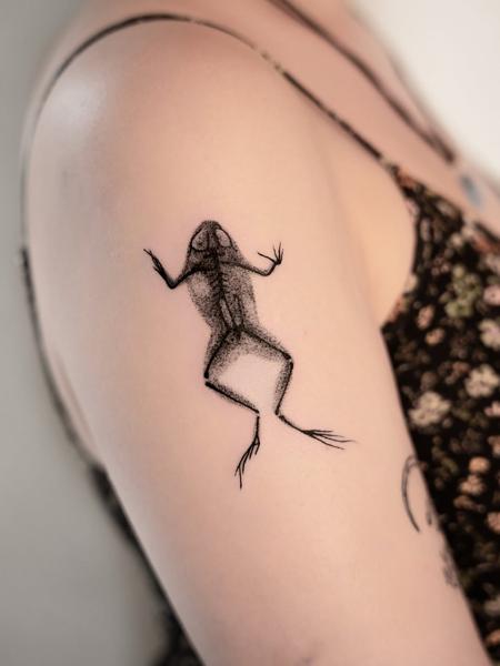 Blackwork frog skeleton tattoo by @nastya.tatts