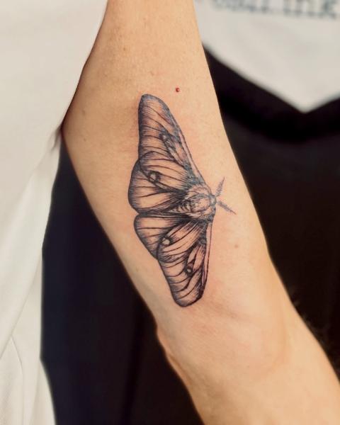 Illustrative detailed moth tattoo by @fresh.ink.anna