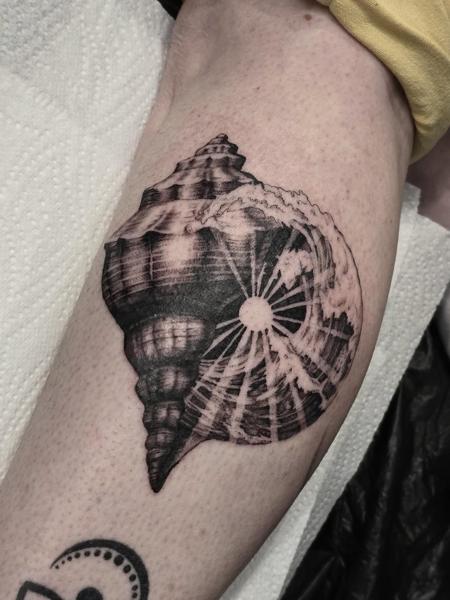 Realism nautilus shell tattoo by @meerkatstattoo