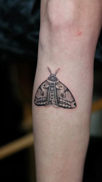 Dotwork moth tattoo by @azramatitattoo