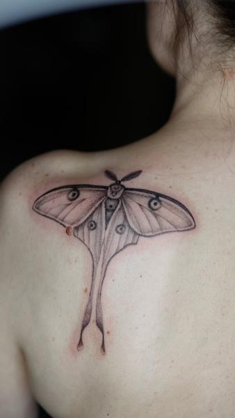 Blackwork moth tattoo by @azramatitattoo