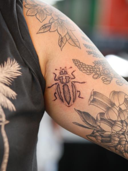 Linework beetle tattoo by @azramatitattoo