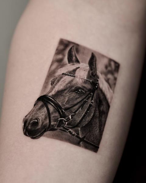 Realism horse portrait tattoo by @black_pen_tattoo