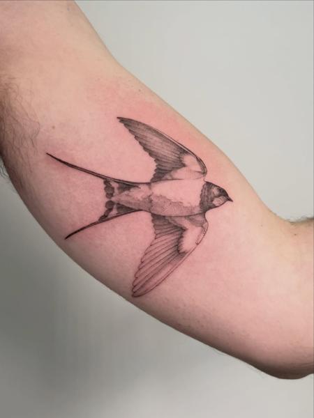 Fine line flying swallow tattoo by @brittbeale