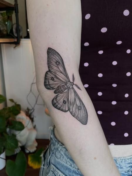Fine line moth tattoo by @dijon.did.it