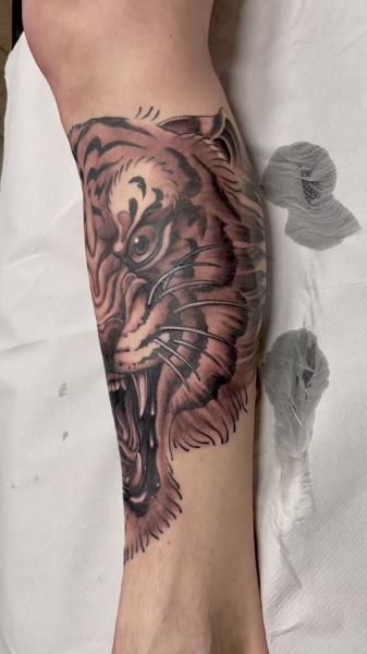 Realism tiger head tattoo by @carlobzn