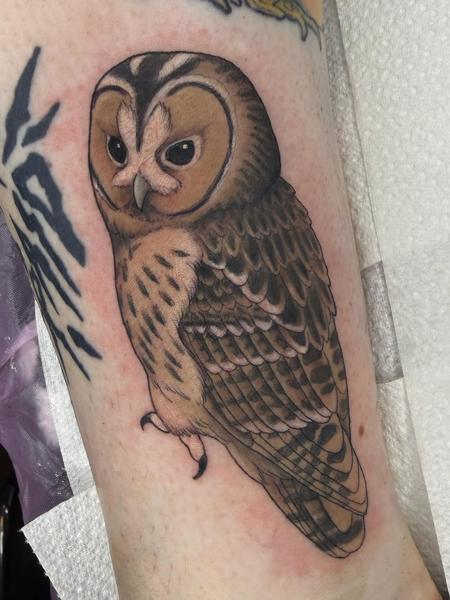 Realism owl tattoo by @charliesullivantattoo