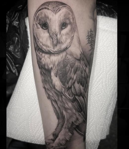 Realism barn owl tattoo by @chazappletattoo