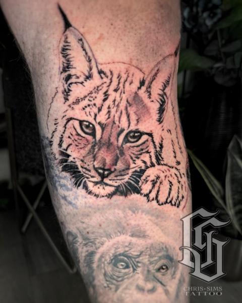 Realism bobcat portrait tattoo by @chrissimstattoo