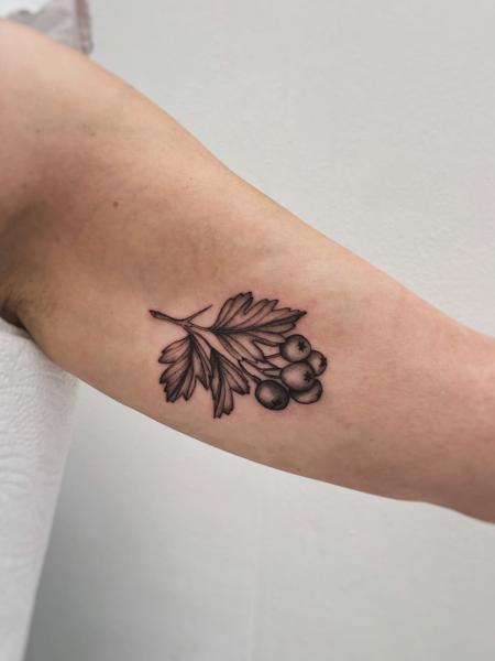 Fine line leafy berries tattoo by @clairedaisytattoos