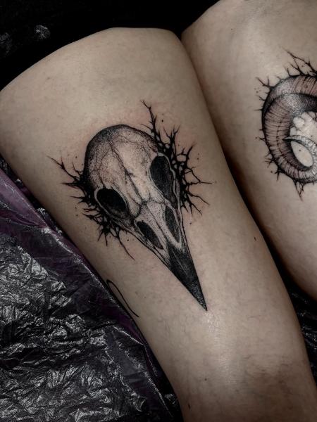 Blackwork bird skull tattoo by @freakyface_
