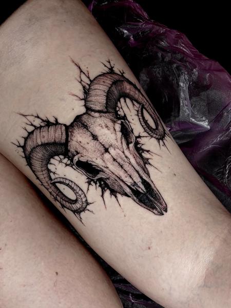 Blackwork ram skull tattoo by @freakyface_