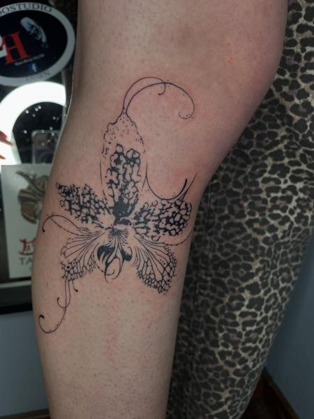 Fine line floral moth tattoo by @psari_clown_tattoo