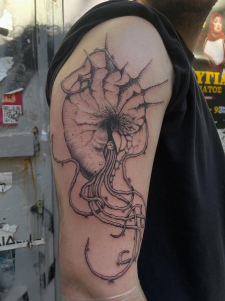 Linework nautilus tattoo by @psari_clown_tattoo