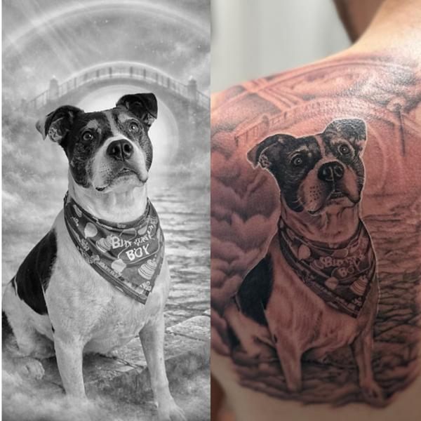 Realism dog portrait tattoo by @divineeyetattoo