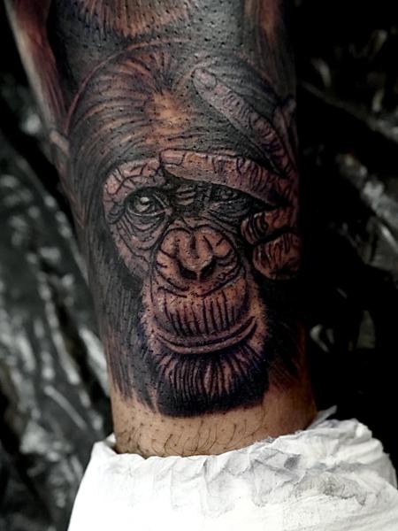 Realism chimpanzee portrait tattoo by @elishawickedink