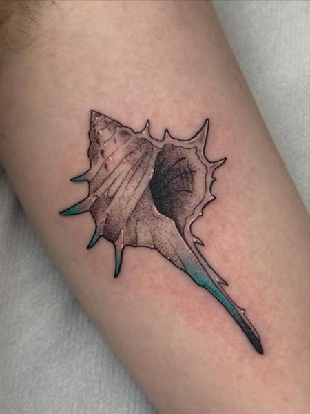 Dotwork illustrative spiky seashell tattoo by @ellsy_pulltattoos