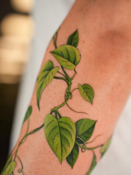 Botanical plant vine tattoo by @estertarabal