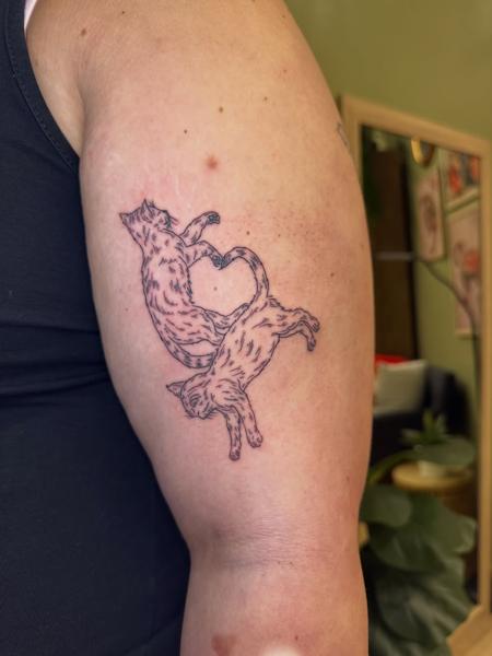Fine line cats heart tattoo by @moonchild_finetattoo
