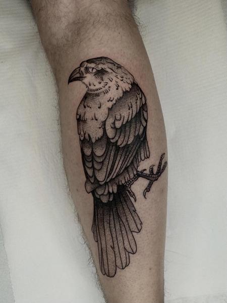 Dotwork hawk tattoo by @mo.rf_tattoo
