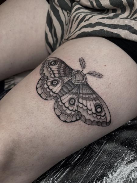 Dotwork ornamental moth tattoo by @elzavanhouden