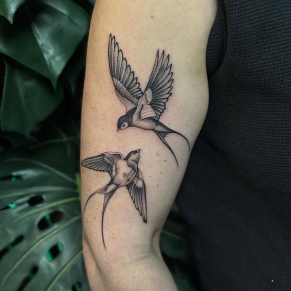 Fine line swallows tattoo by @justbethtattoo