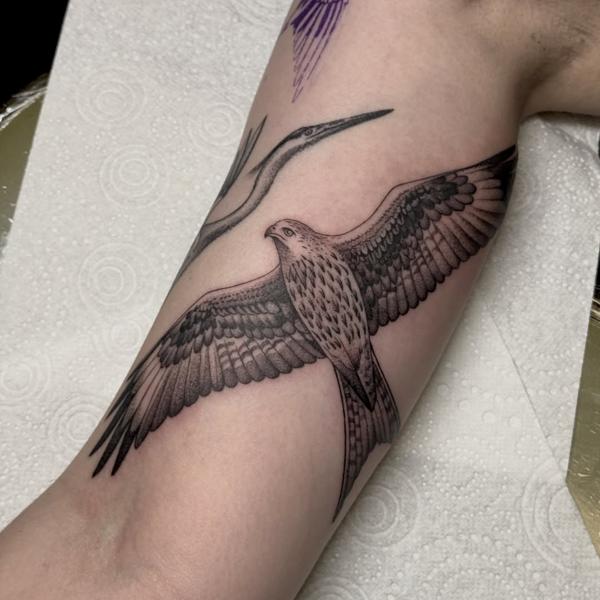 Realism flying bird tattoo by @justbethtattoo