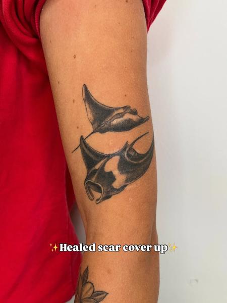 Realism manta rays tattoo by @fiona_jay_tattoo