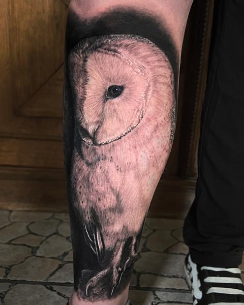 Realism owl tattoo by @flozimmerertattoo