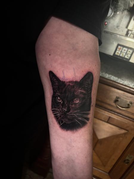 Realism black cat tattoo by @flozimmerertattoo