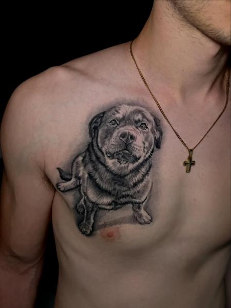 Realism realistic dog tattoo by @gekodivine