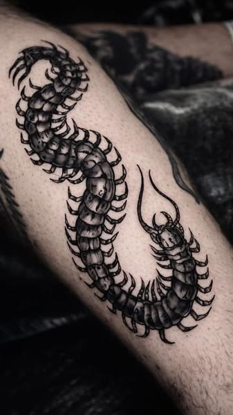 Blackwork centipede tattoo by @vanya.tattoo