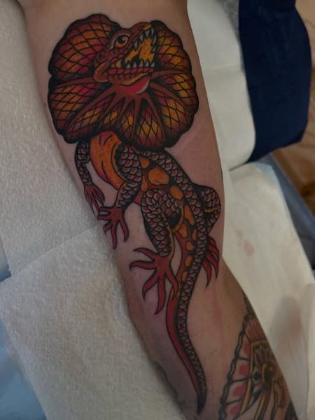 Traditional frilled lizard tattoo by @bad_news_tattoos