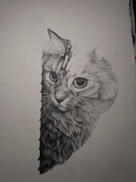 Illustrative realistic cat tattoo by @gracetattoo