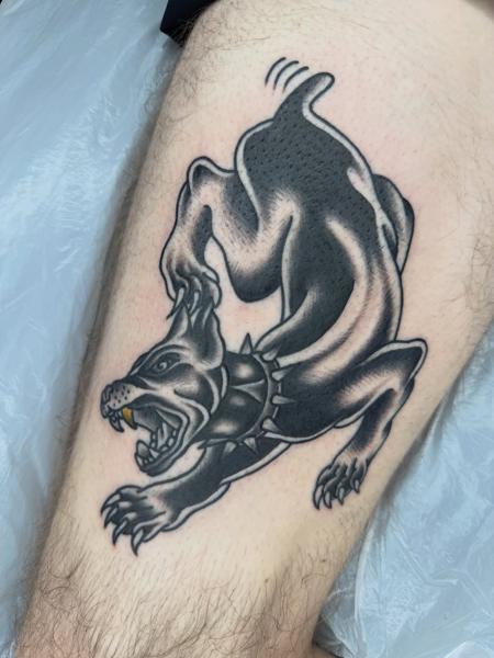 Traditional snarling panther tattoo by @greharptattoo