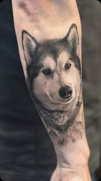 Realism husky portrait tattoo by @g.u.tattoo.uk