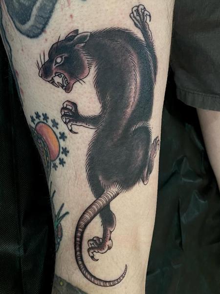 Traditional aggressive rat tattoo by @helenbrowntattoo13