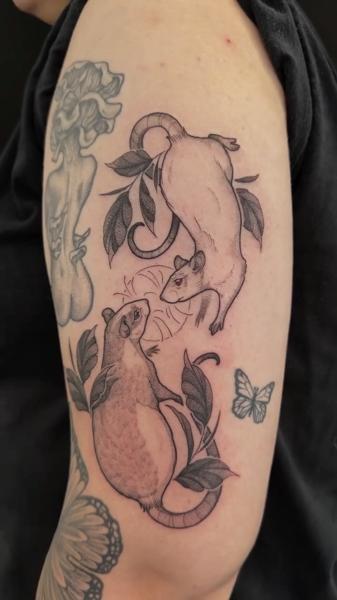 Fine Line possum pair tattoo by @helle.ink