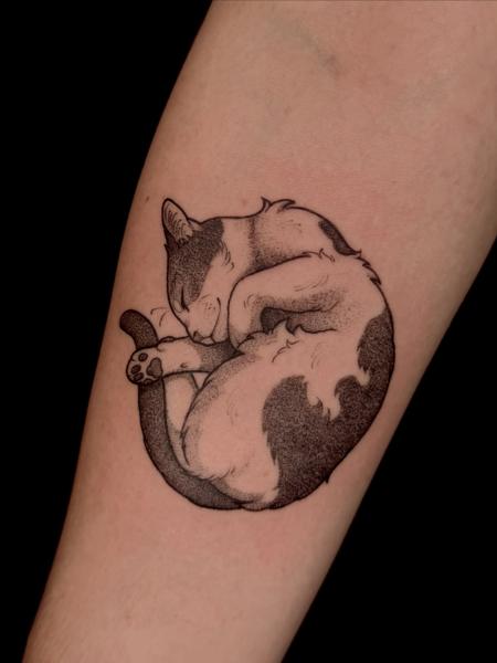 Dotwork sleeping cat tattoo by @helle.ink