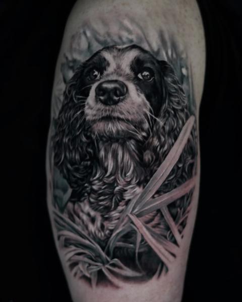 Realism spaniel portrait tattoo by @hellekarger_tattoo