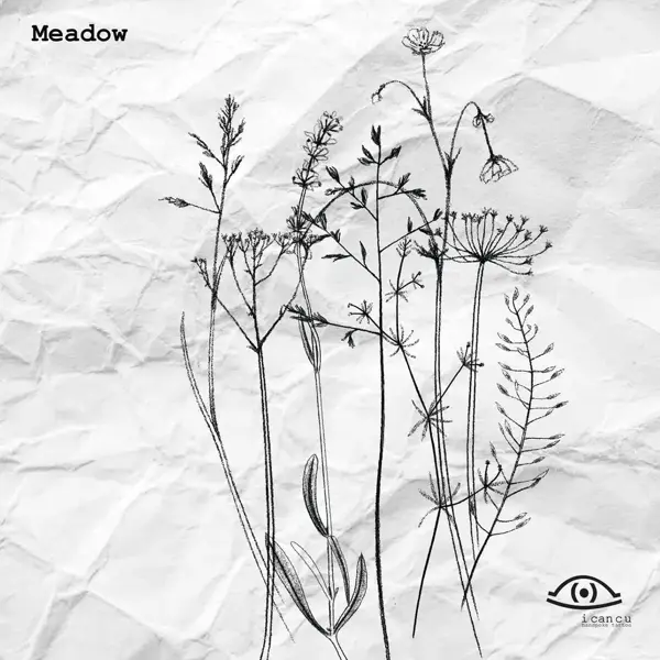Fine line botanical meadow plants tattoo by @icancu_tattoo