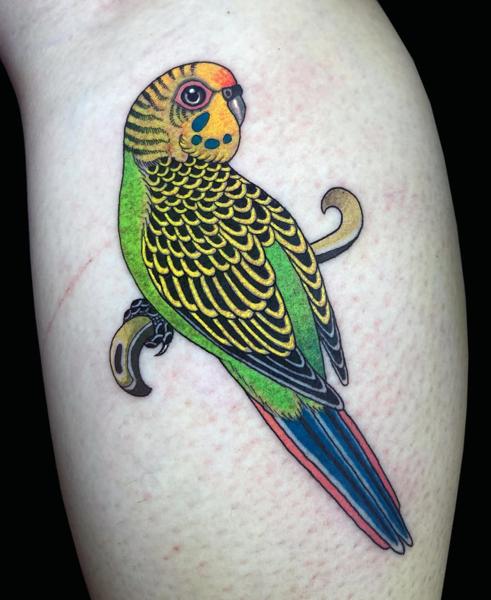 Traditional colorful parrot tattoo by @inmatattooartist