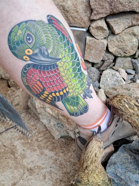 Traditional colorful parrot tattoo by @inmatattooartist