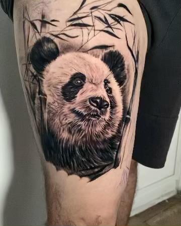 Realism panda portrait tattoo by @jaimikotattoo