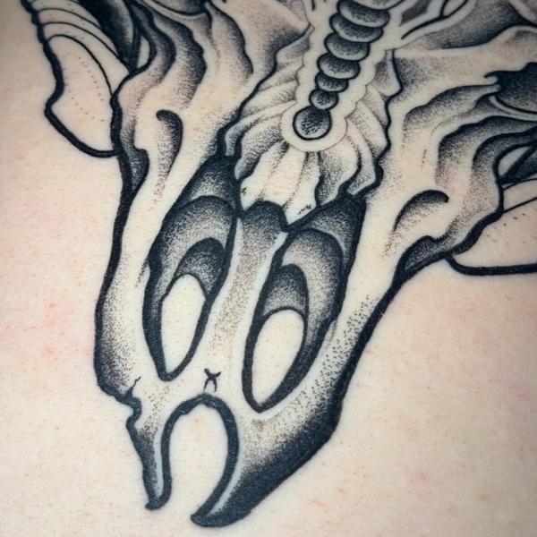 Blackwork stylized skull tattoo by @jammersink