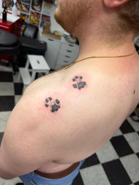 Blackwork paw prints tattoo by @jem_lou_tattoo
